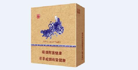壁挂炉室外烟管照片